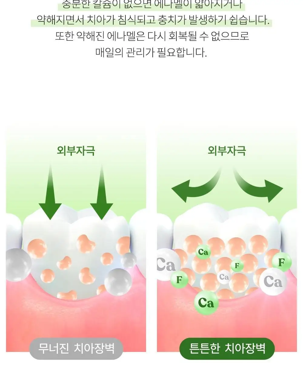 [고불소] 콜게이트 맥시멈 캐비티 프로텍션 쿨민트 치약 100g 상세페이지 11